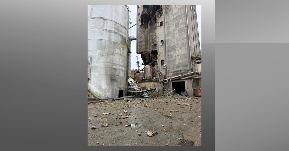 Perdue deems Cofield mill unrepairable