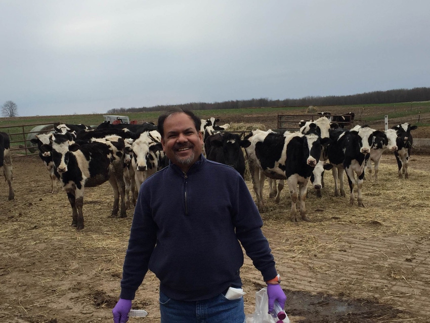 Microbial diversity in dairy farmers' noses aids overall health