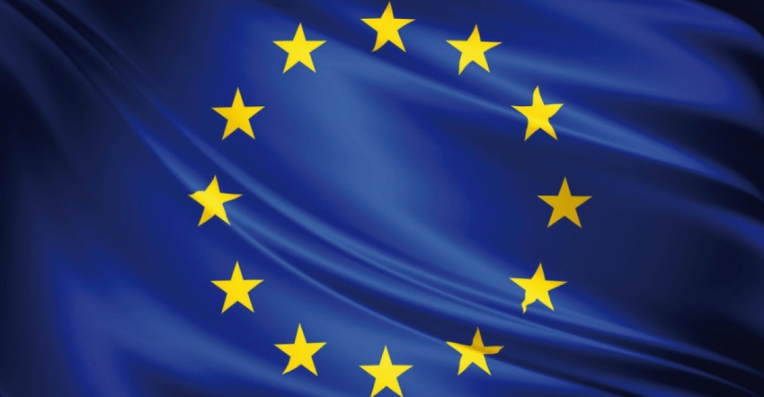 European Union Flag Drapeau de l'Union Européenne.jpg