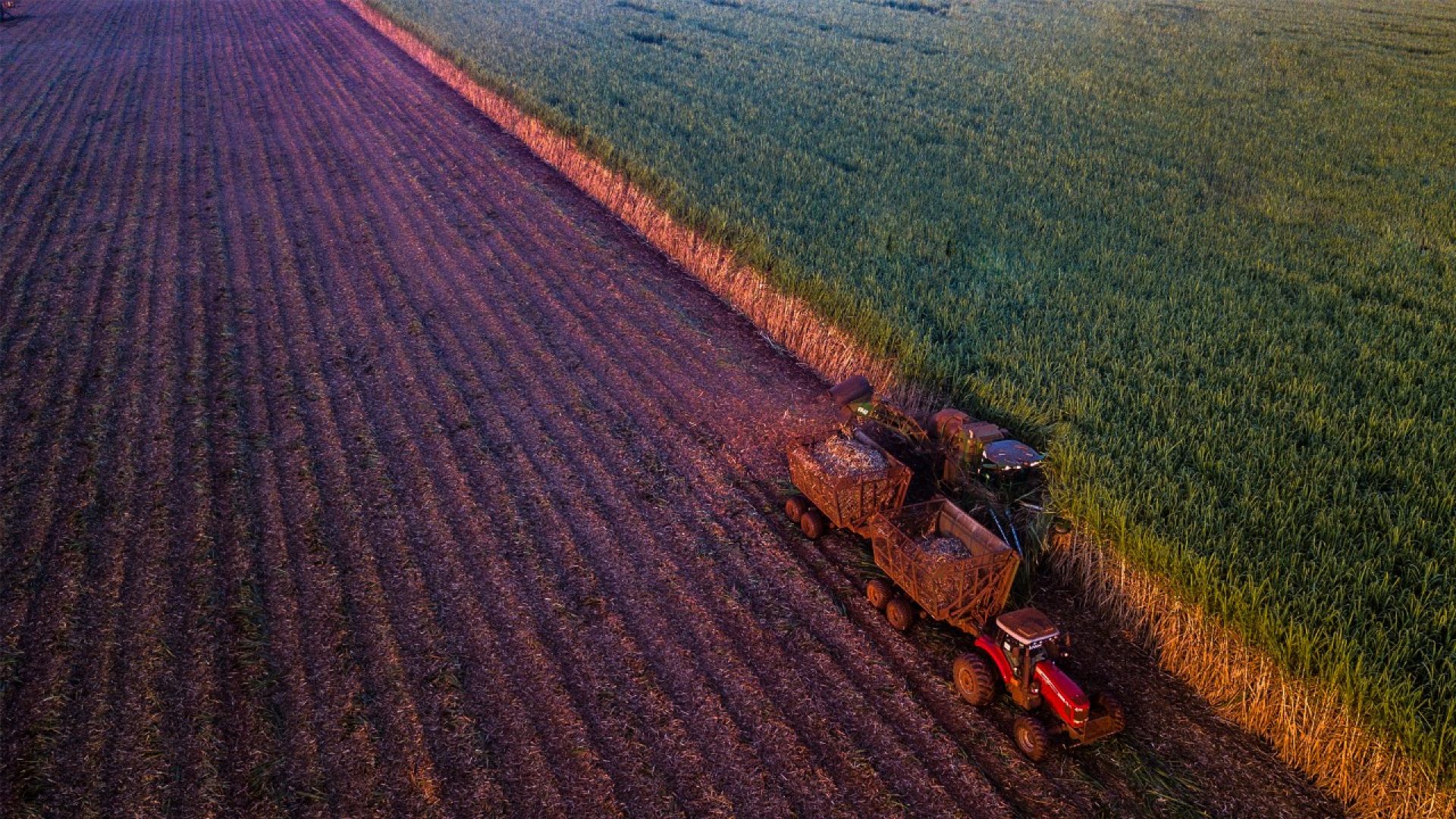 Bunge, BP complete formation of joint venture