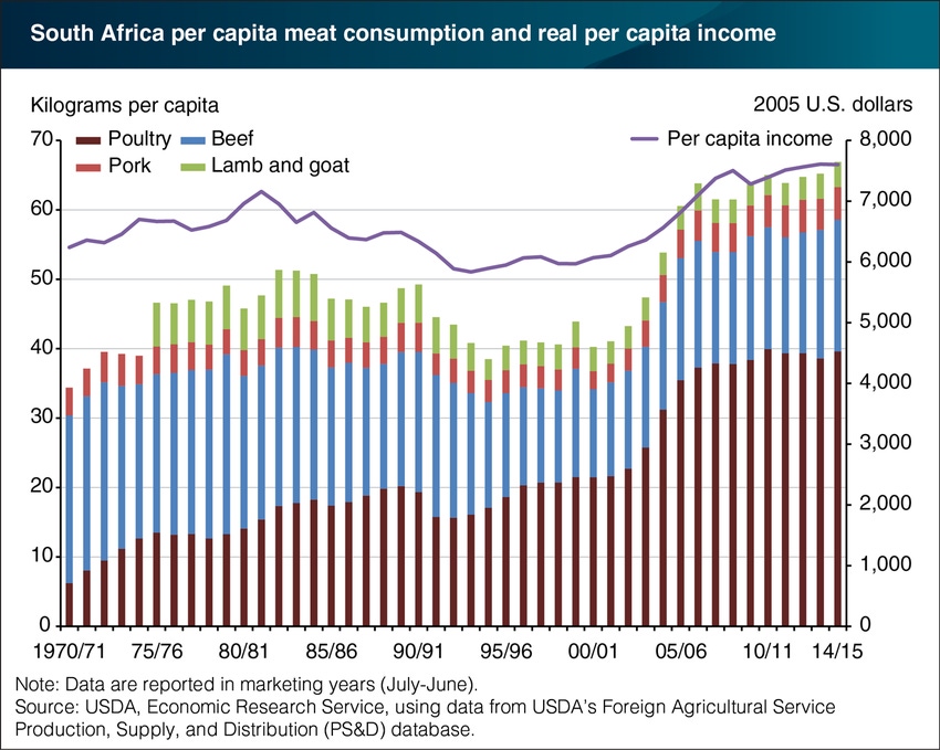 As incomes grow, poultry consumption in South Africa rises