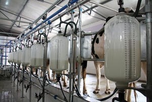 N&H TOPLINE: New methods predict methane emissions of dairy cattle