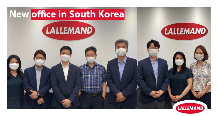new-office-south-korea.png