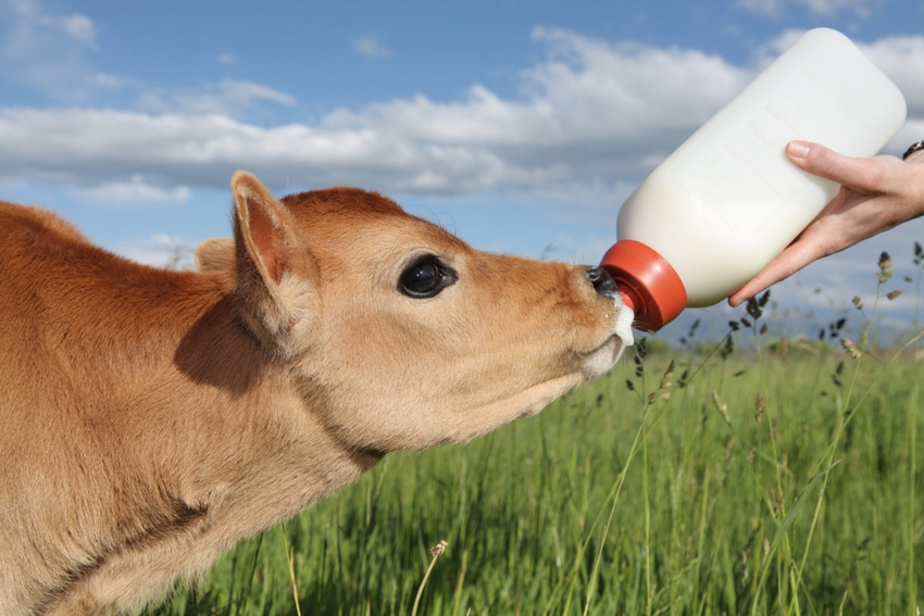 Milk Specialties Global acquires Merrick's product lines