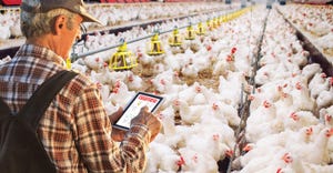 Sensors and software to simplify feed inventory
