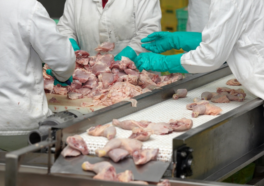 poultry-processing-plant-GettyImages-501237717.jpg