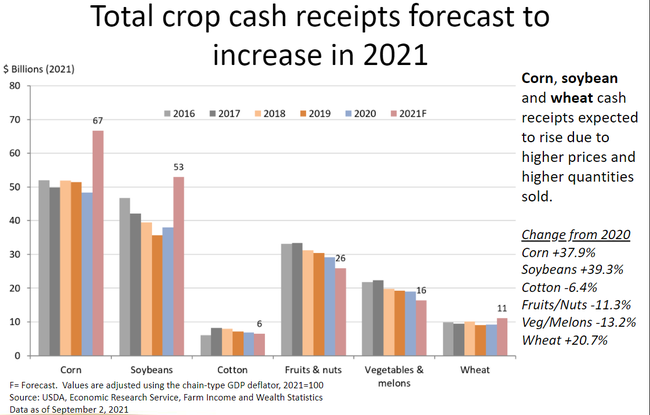 Total crop cash receipts forecast to increase in 2021