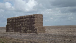 Record low hay stocks this winter