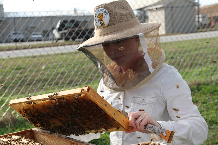 U.S. beekeepers face 40% loss in managed colonies