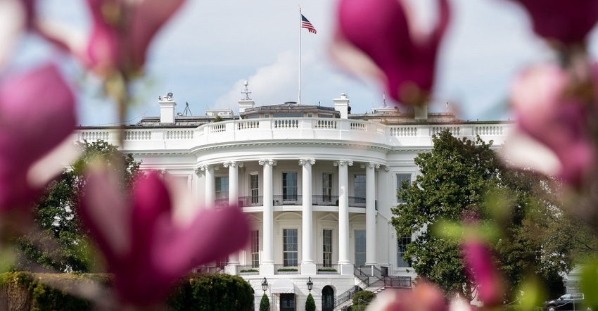 White House spring.jpg