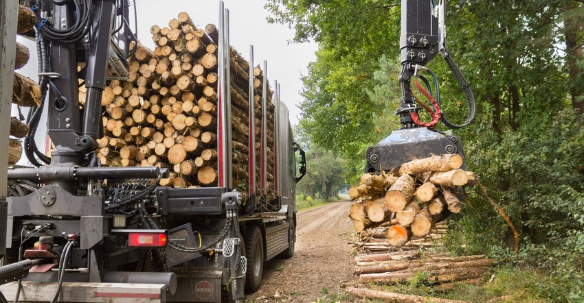 Timber hauler iStock-508022188.jpg