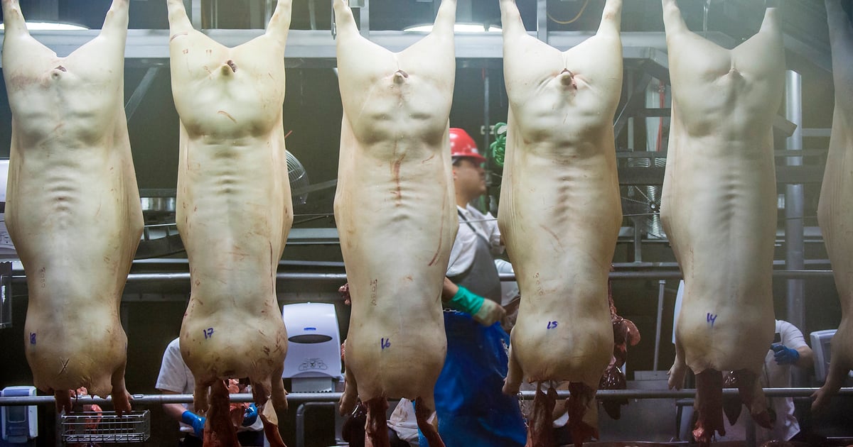 USDA finalizes postmortem swine inspection rule