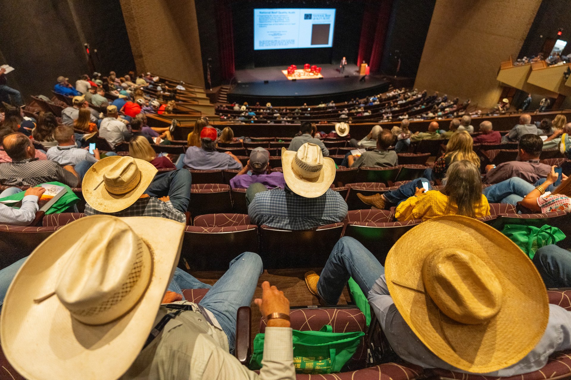 Consumer demand, high prices prompt cattle producer optimism - Vimarsana News