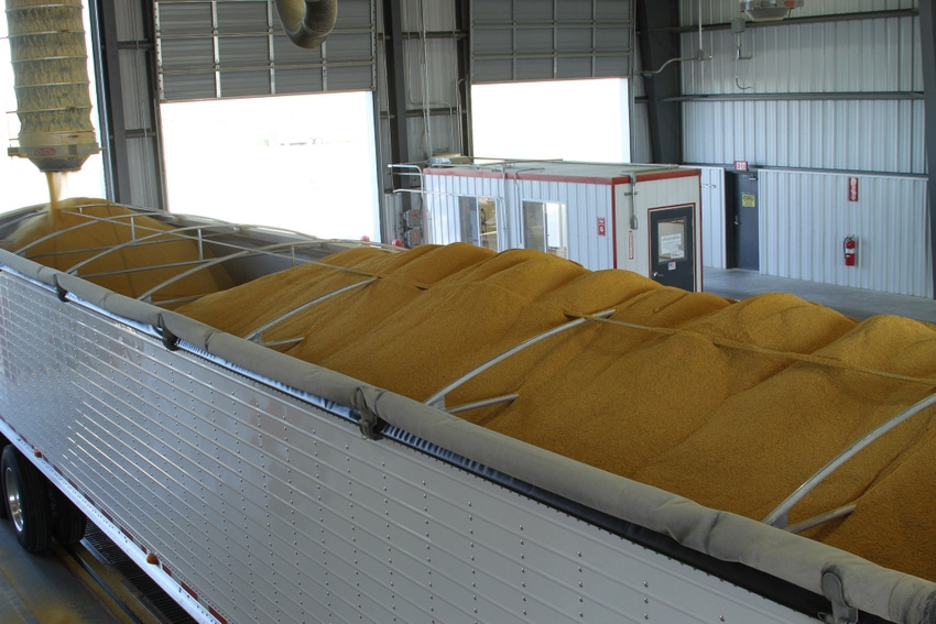 DDGS prices rising on soymeal rally