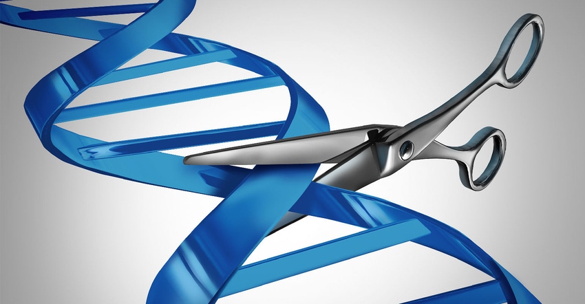 Research looks at consumer acceptance of gene editing technologies