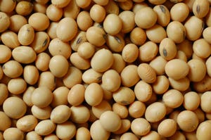 U.S. soy exports to Europe, Middle East, North Africa markets strong