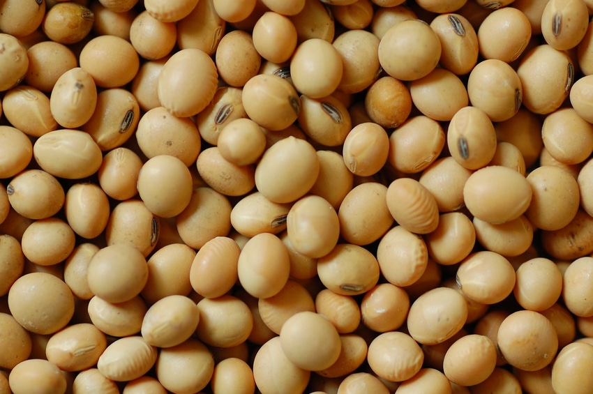 U.S. soy optimistic about China's Phase One purchases