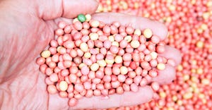 Pesticide coated soybeans GettyImages-187030629.jpg
