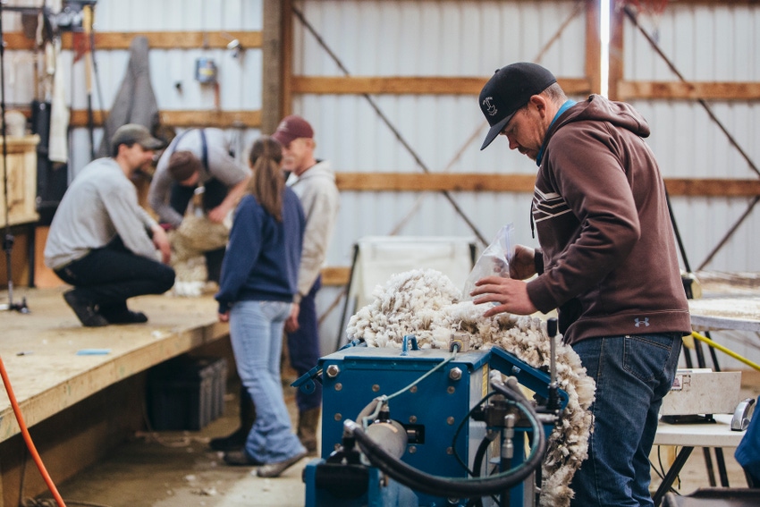 Partnership makes quick work of wool testing