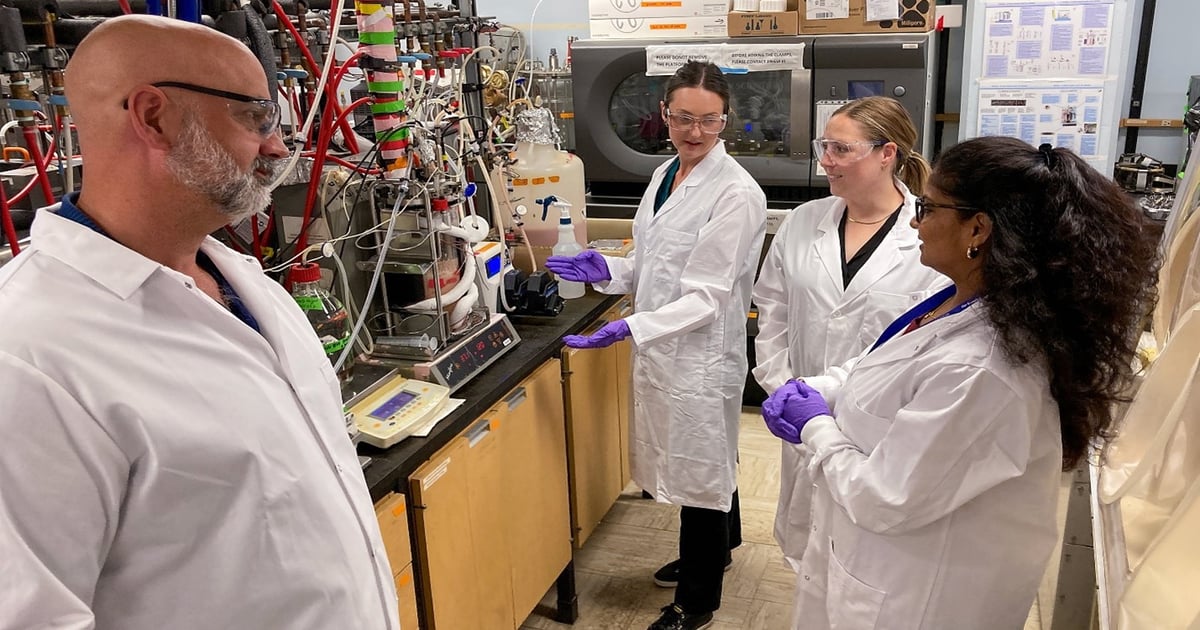 Researchers look at coal-derived methanol for animal feed