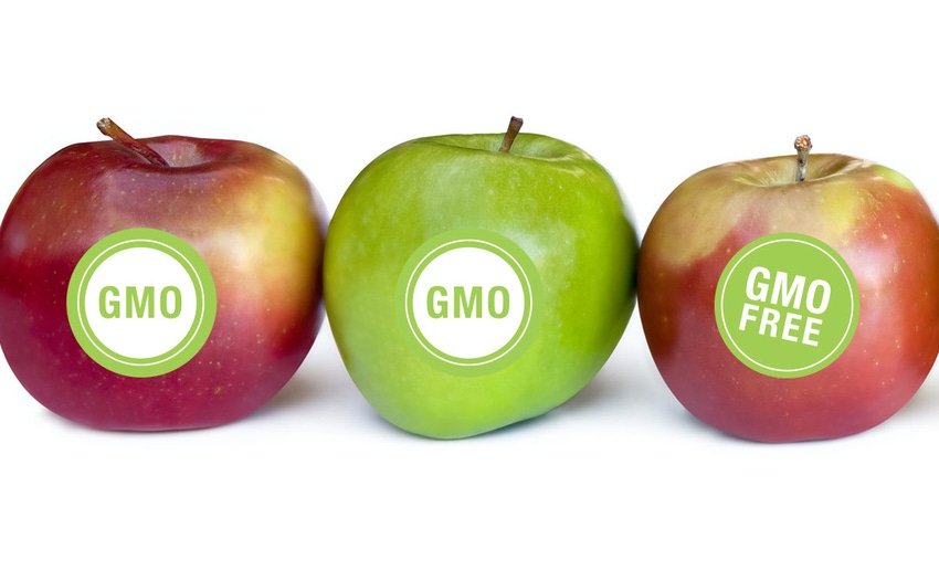 FDA launches consumer education campaign on GMOs