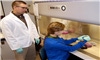 Swine parainfluenza found in U.S.