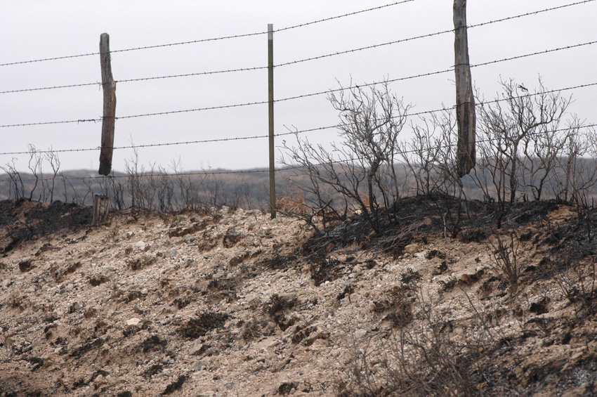 Wildfire does not damage barbed wire