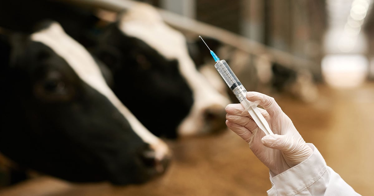 FDA approves gamithromycin injectable for BRD in cattle