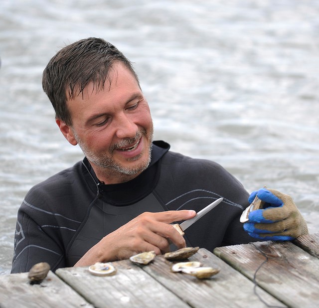 Safety of farmed oysters focus of $450,000 grant