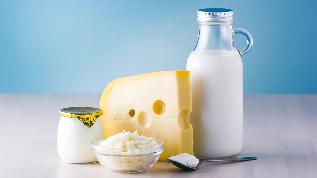 leche, queso y yogur leche, queso y yogur