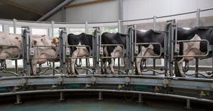 Improve the accuracy of milk predictions and increase profitability