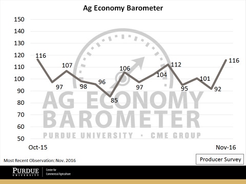 Producer sentiment improves on crop futures rally Producer sentiment improves on crop futures rally