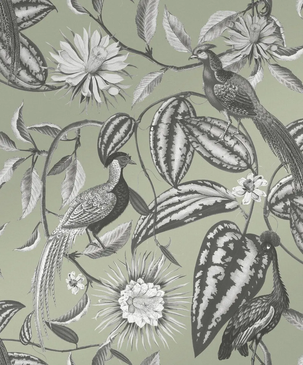 Amherst's Garden Sage Wallpaper Design