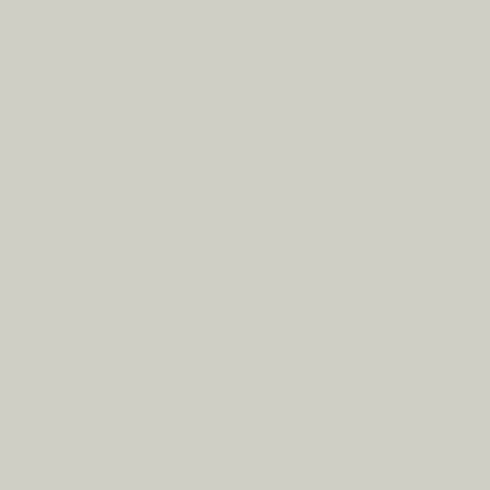 neutral paint