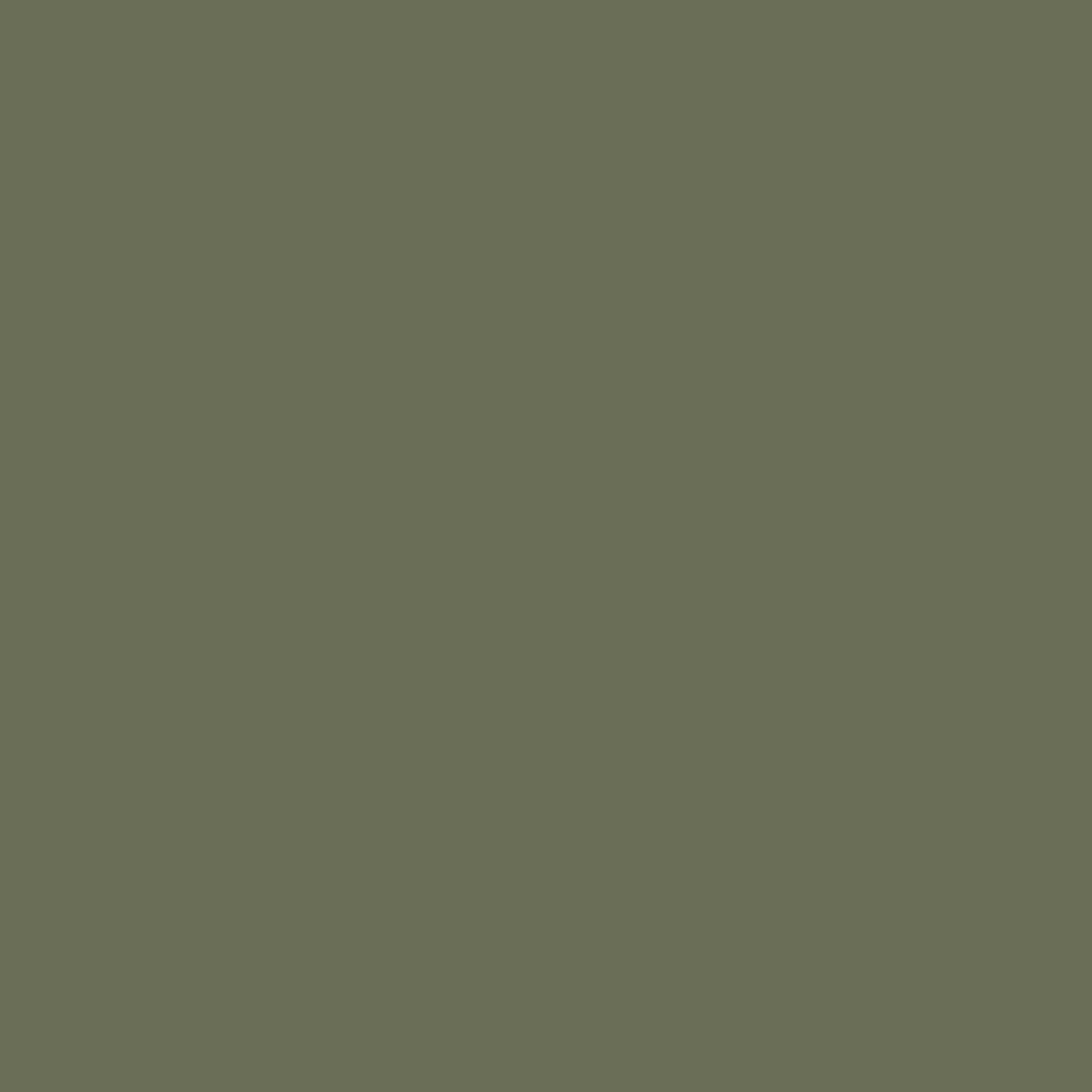 Abigail Ahern Kelp Harbour Paint