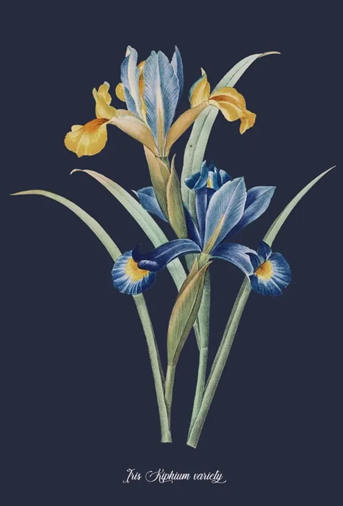 Glasshouse Iris Blue Wall Art detail