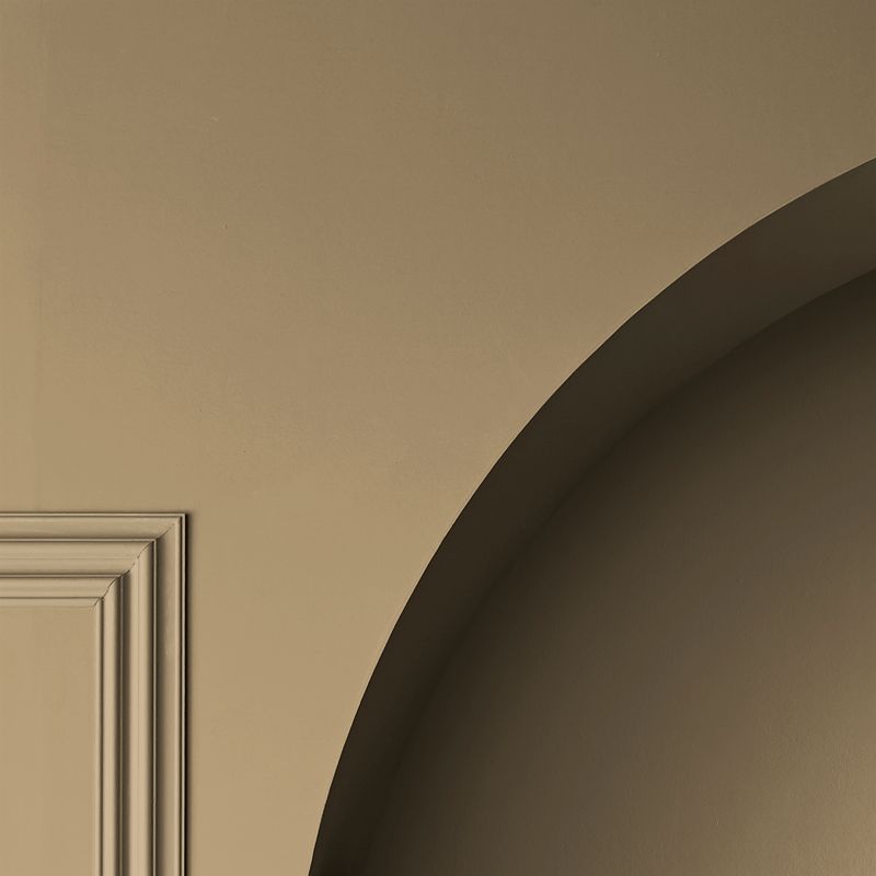 Toasted Almond Paint shadow detail image