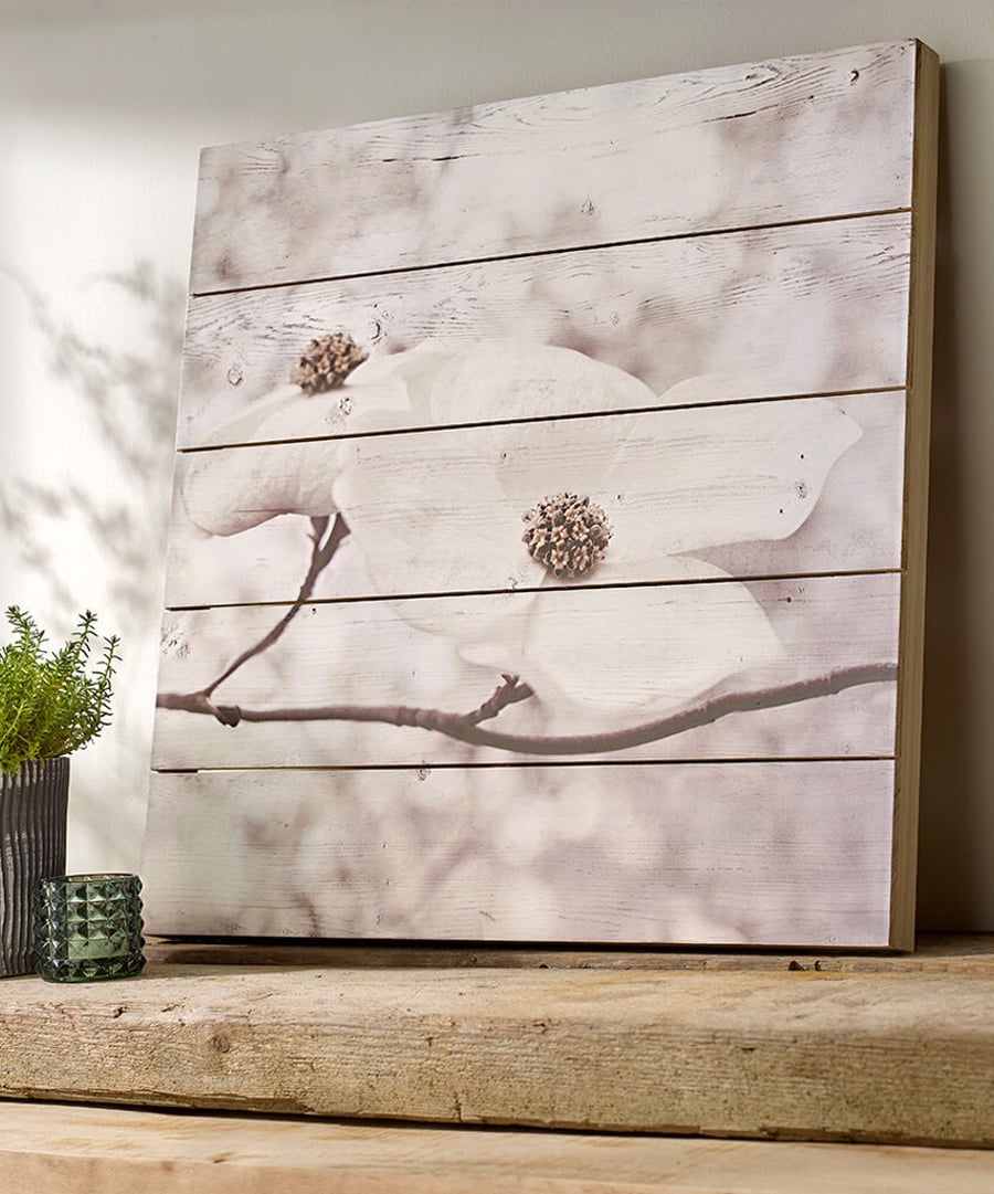 Serenity blossoms wall art