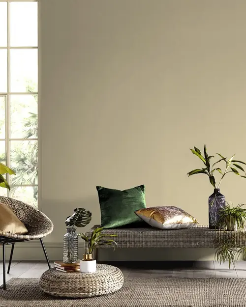 Roomset featuring sofa with cushions and plants with a rug and tartan paint
