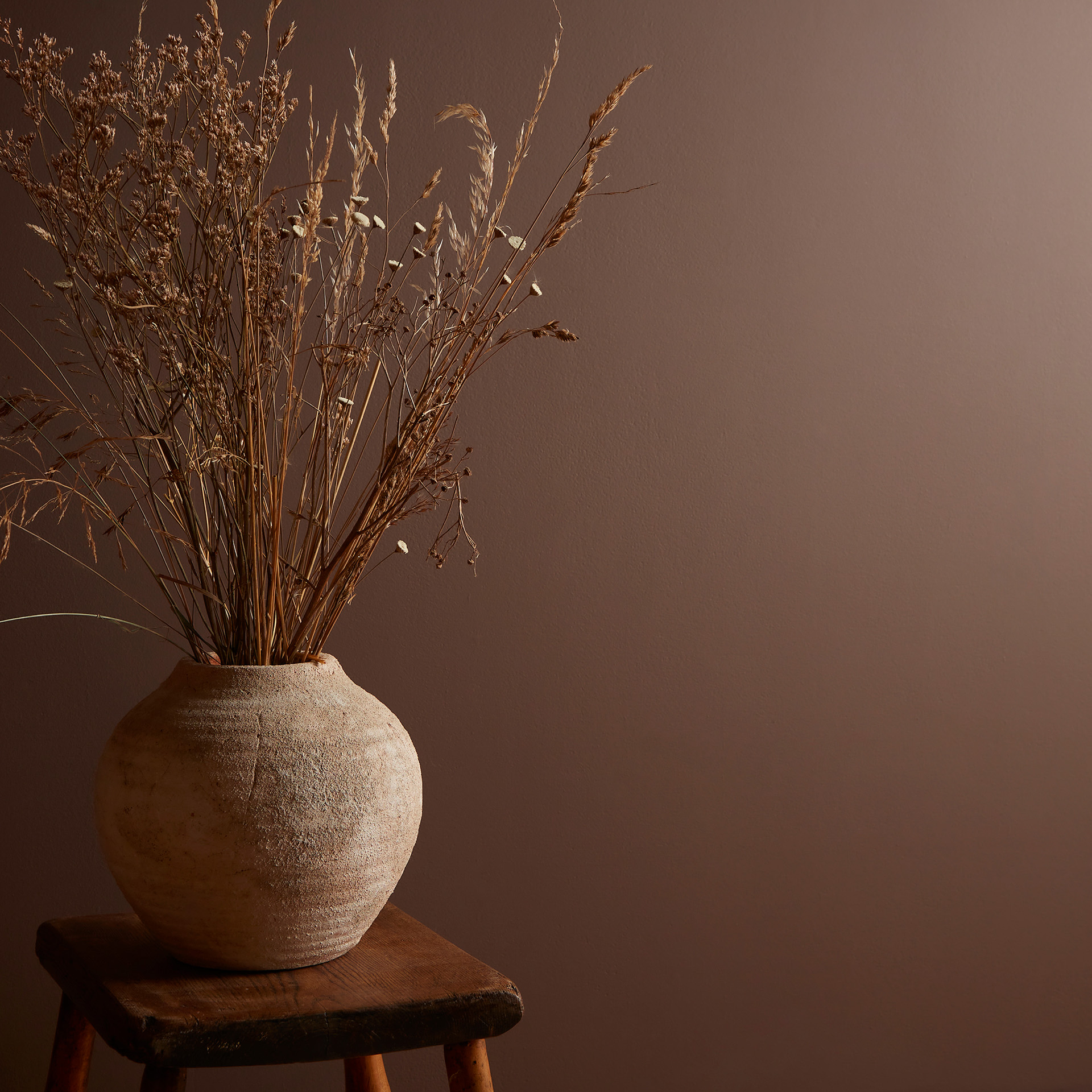 Elderton Farbe Kamee