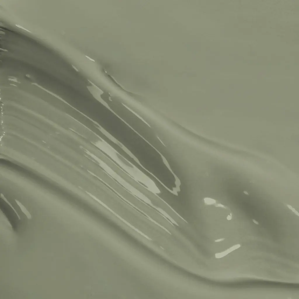 Sage Paint Swish