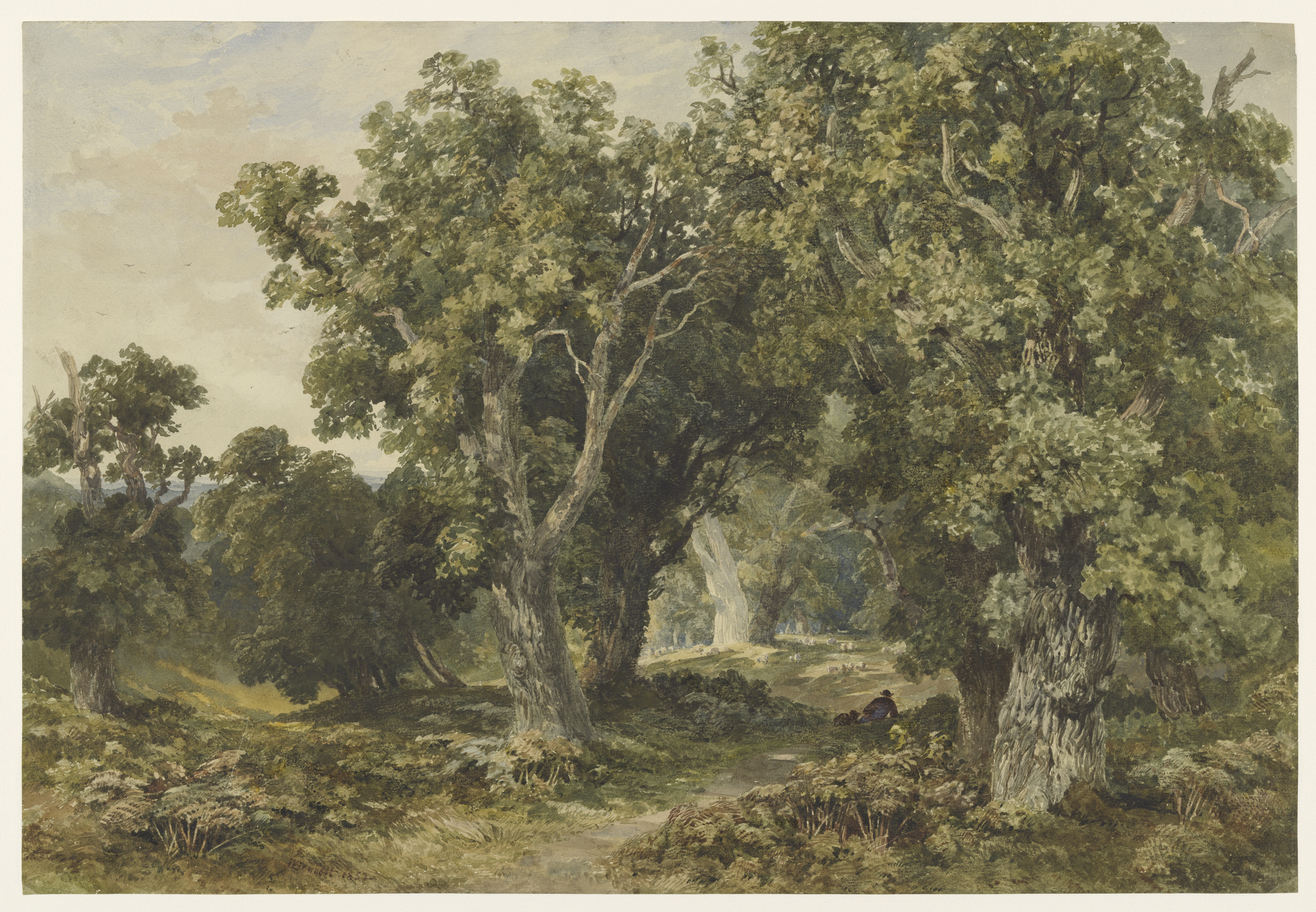 Bomen & bladeren op maat fotobehang detail