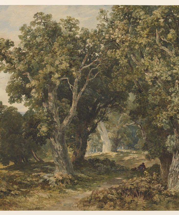 Bomen & bladeren op maat fotobehang detail