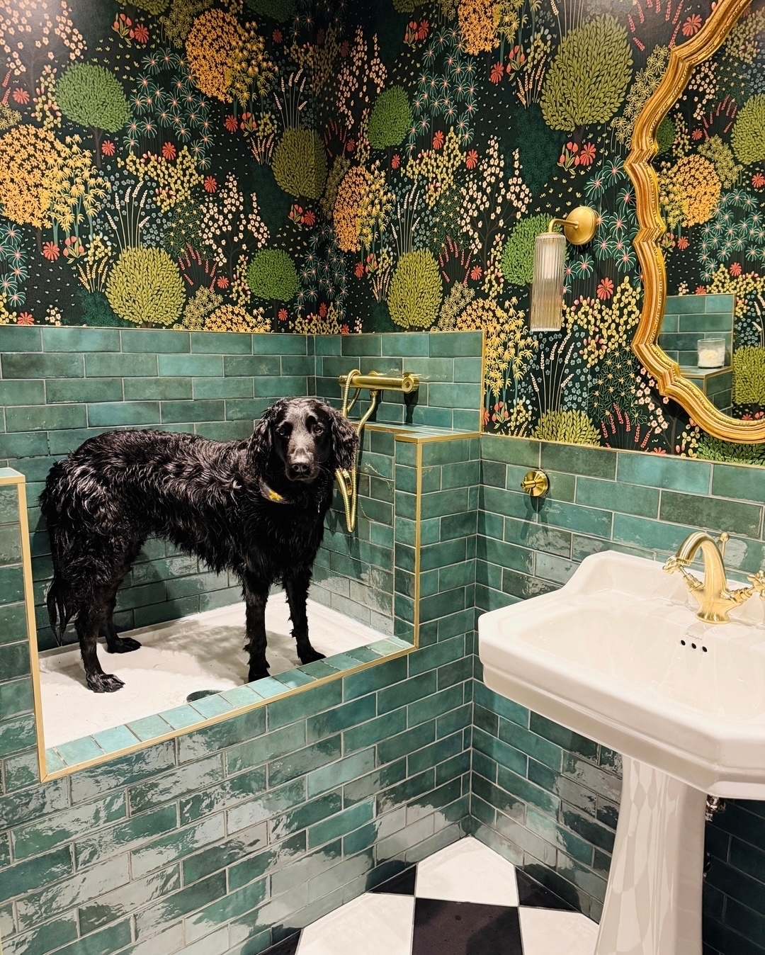 Fable Forest wallpaper in a bathroom setting - UGC