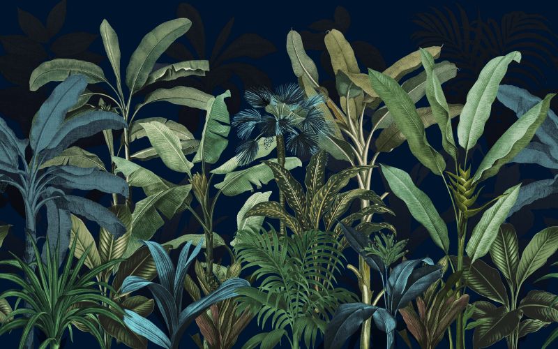 Congo nightfall