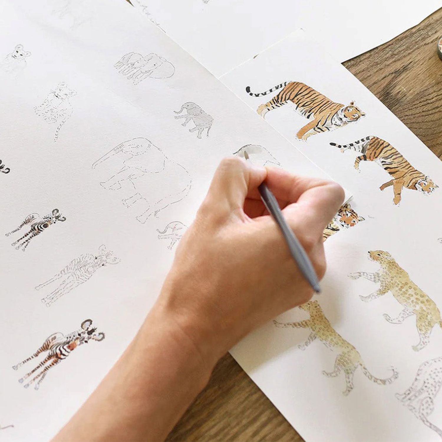 Sophie Allport sketching a design of animals including tigers and zebras