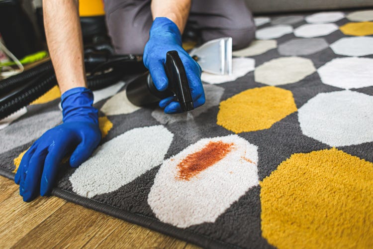 remove carpet stain with vanish