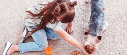 So reinigen Sie Ihren Hochflor Teppich