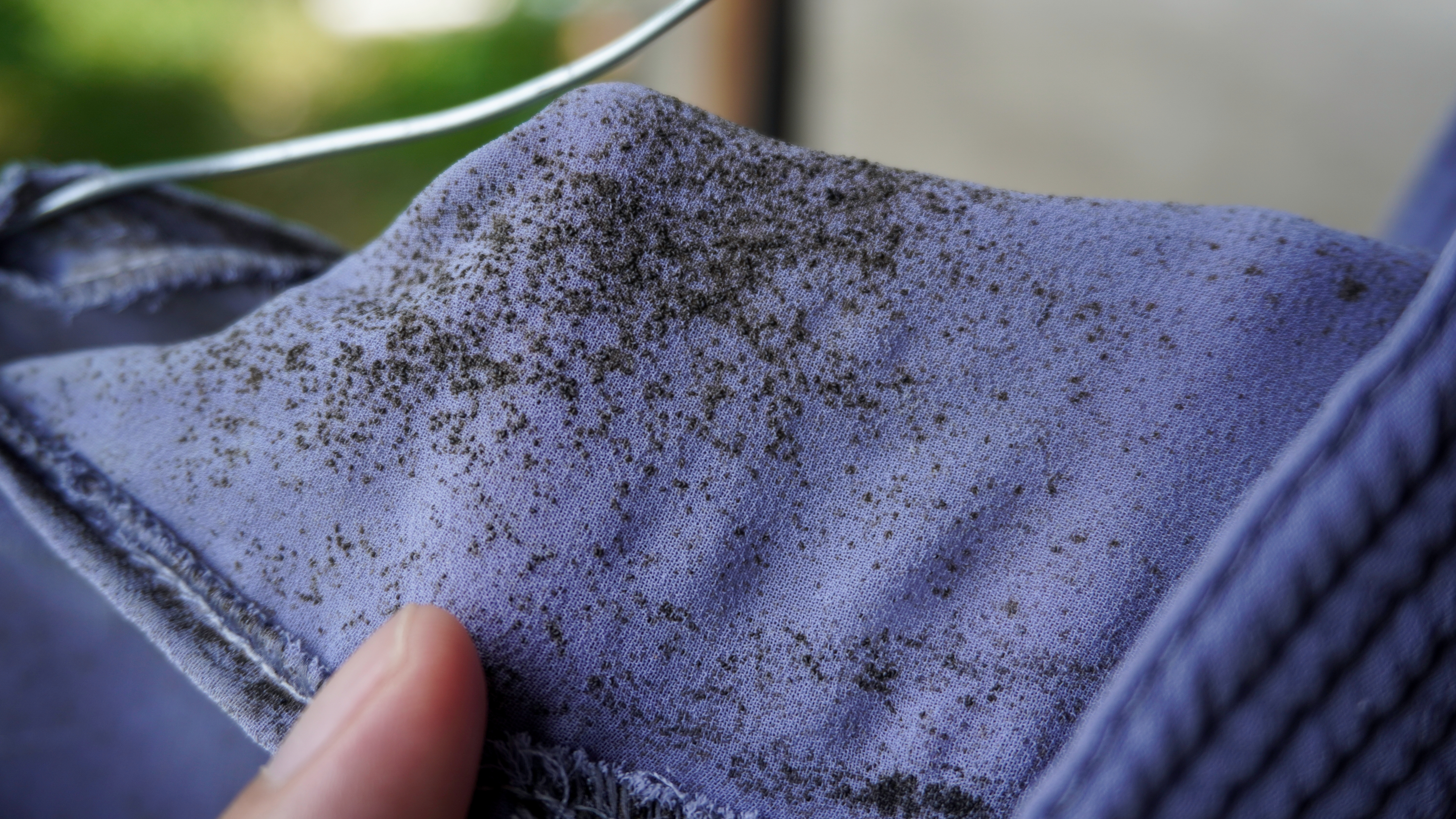 Fungus Stains from Clothes