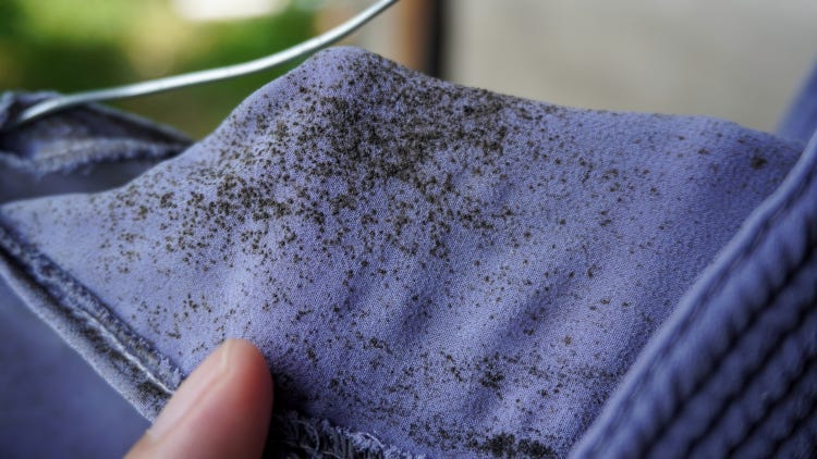 Fungus Stains from Clothes
